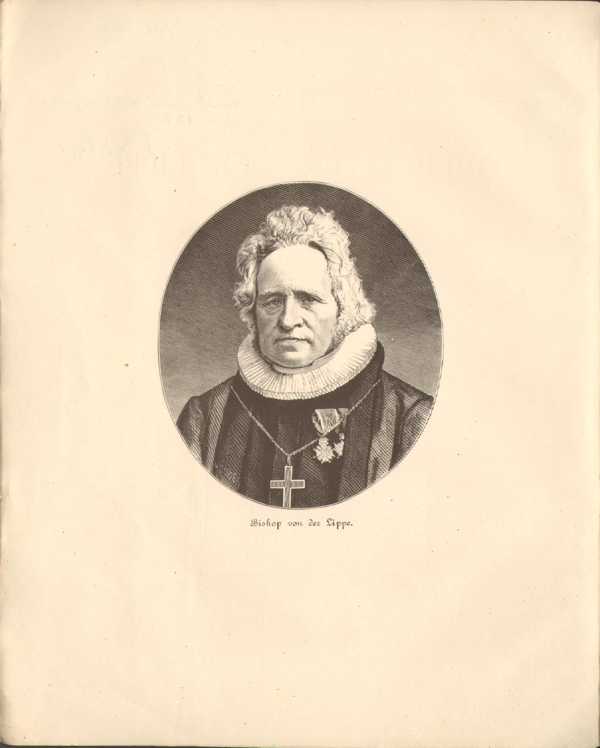 PEFVDL_IV_web