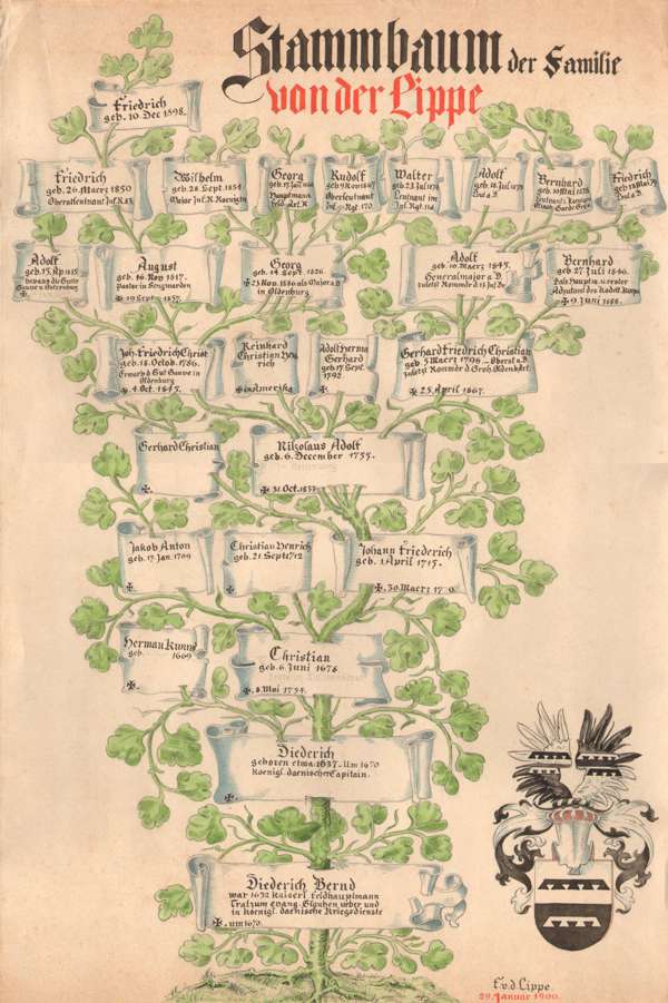 Stammbaum_1900_web